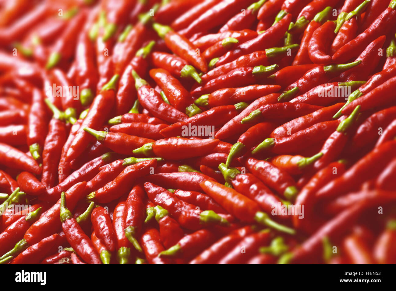 Immagine di peperoni rossi con la profondità di campo e la messa a fuoco al centro. Foto Stock