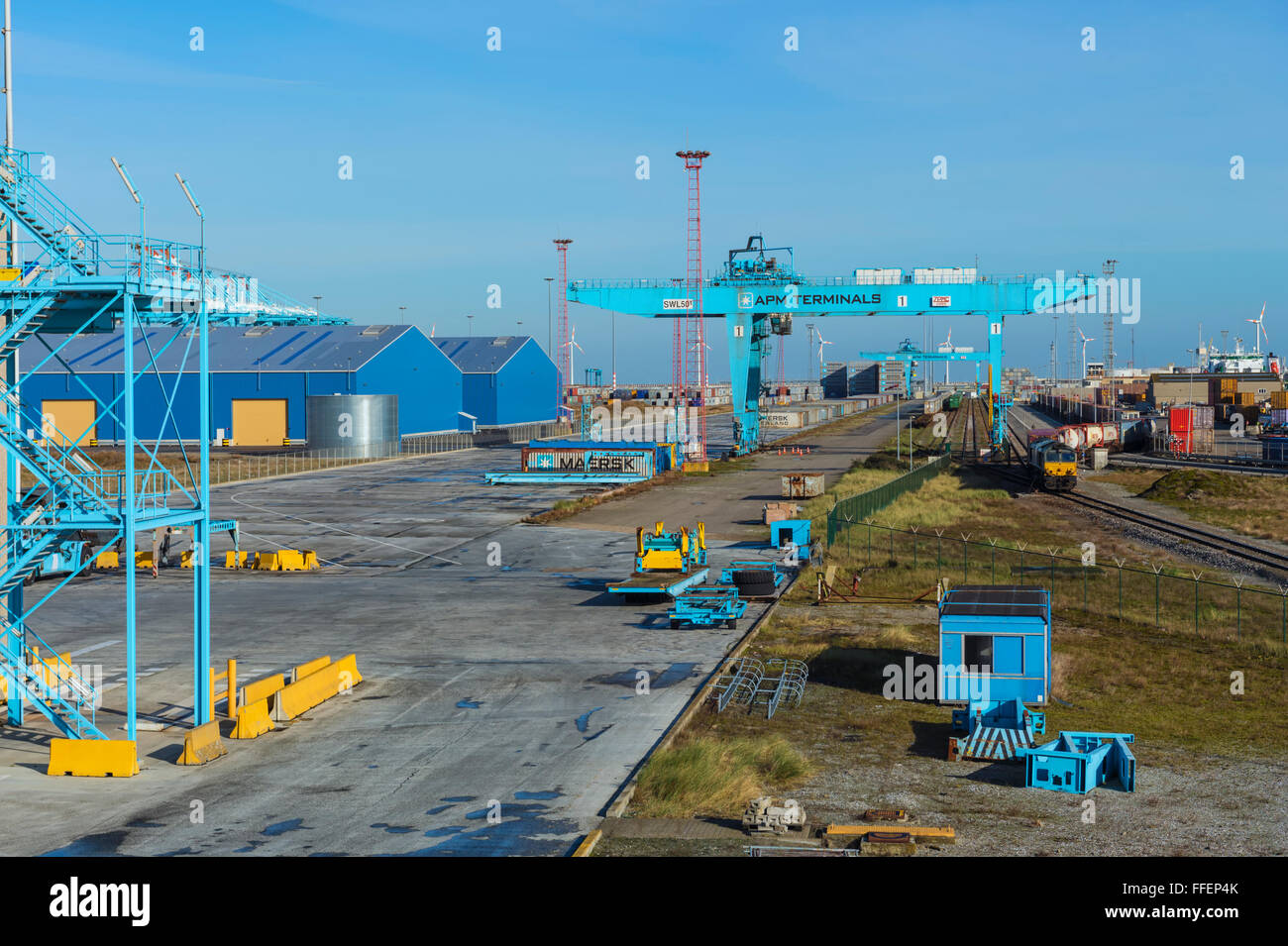 Contenitore gru, porto di Zeebrugge, Belgio Foto Stock