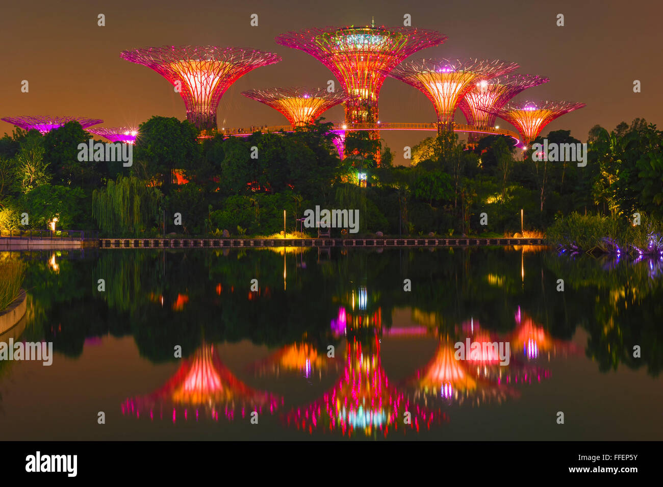 Giardini dalla baia, riflettendo in acqua durante la notte, Singapore, Asia Foto Stock