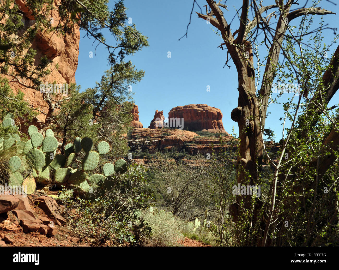 Sentiero per l arte rupestre alcova cerimoniale di posto per Sinagua persone connesse con Hopi tribù indiana,Palatki è Hopi per 'Casa Rossa". Foto Stock