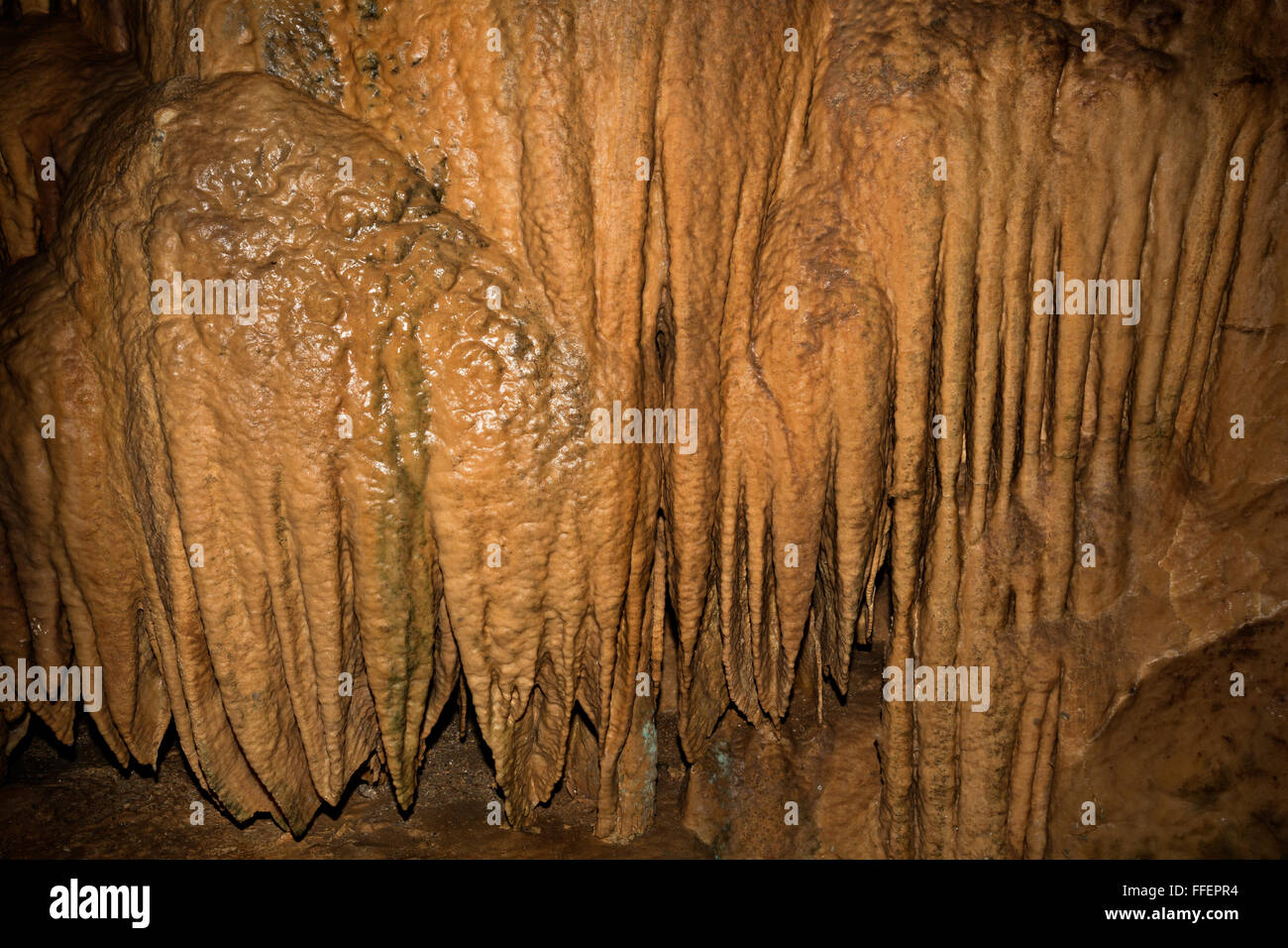 CA02848-00...CALIFORNIA - flowstone calcare e colonne scanalate nel Lago Shasta caverne, una naturale nazionale di riferimento. Foto Stock