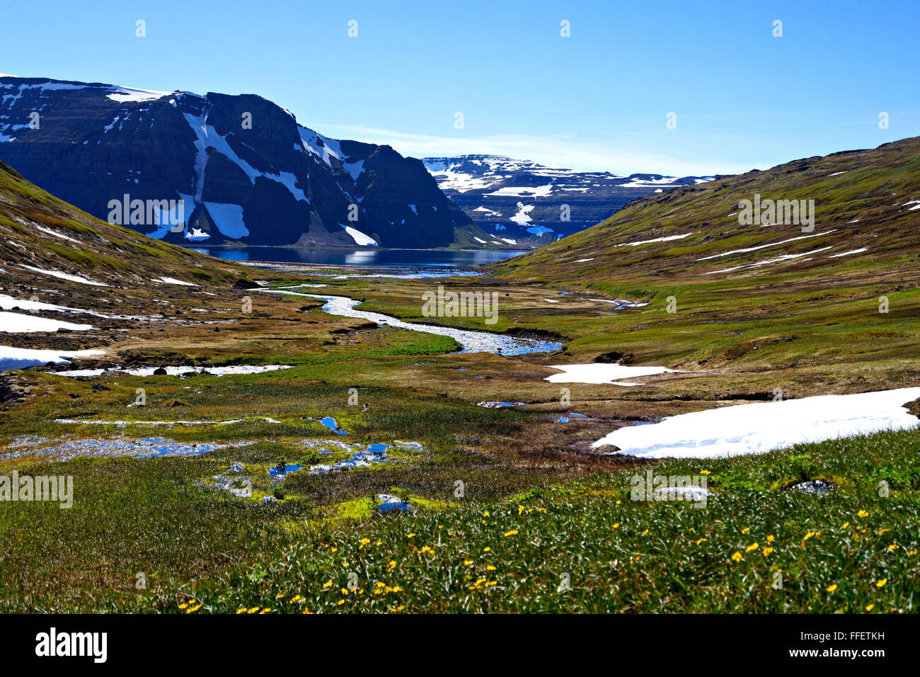 Il paesaggio dei fiordi, Westfjords, Islanda, Europa Foto Stock