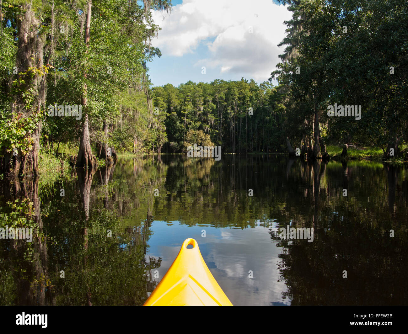 Il kayak attraverso Everglades della Florida, Stati Uniti d'America Foto Stock
