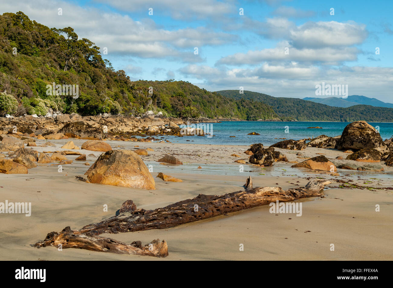 Lee Bay Beach l'isola di Stewart, Nuova Zelanda Foto Stock