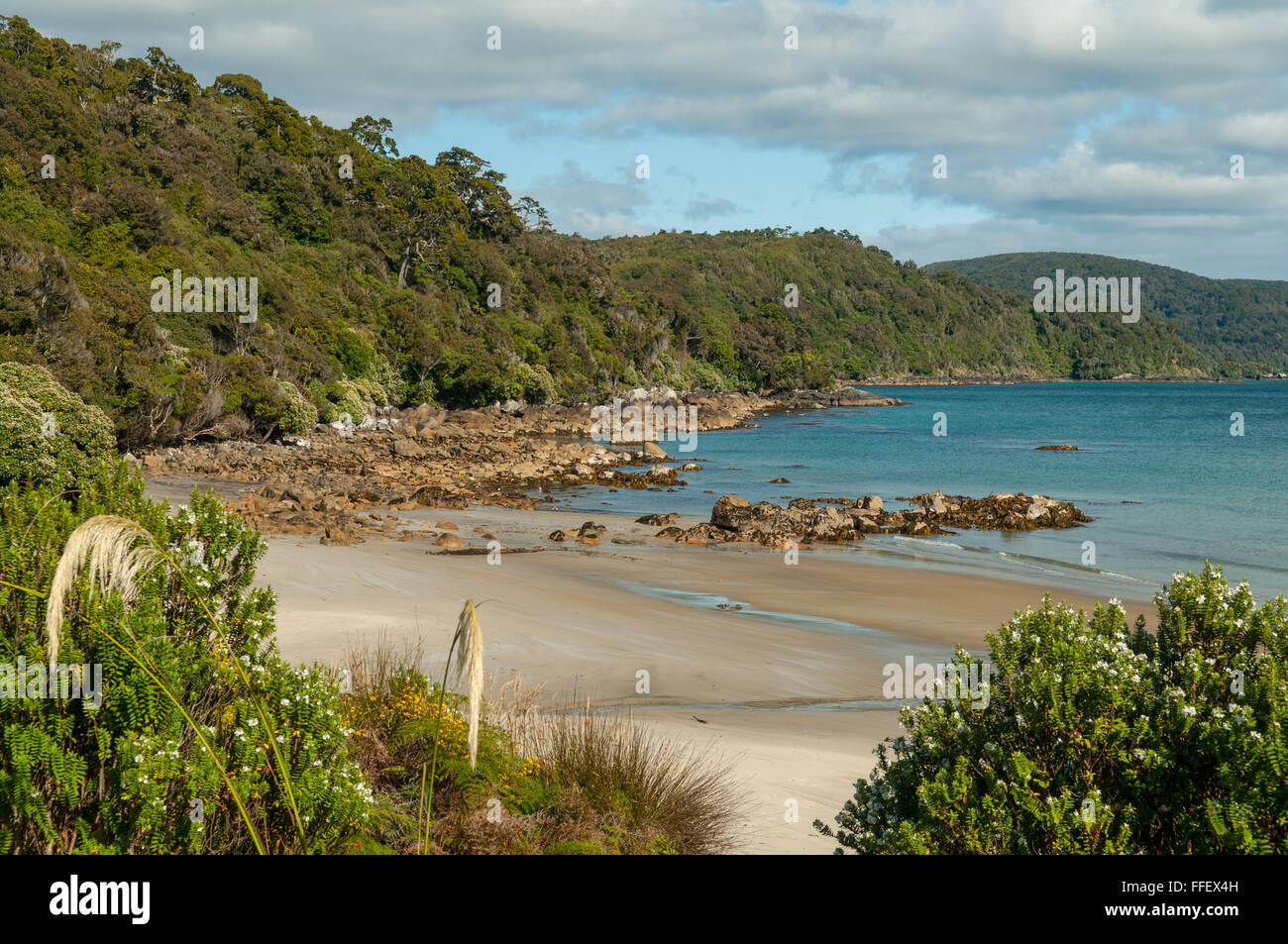 Lee Bay Beach l'isola di Stewart, Nuova Zelanda Foto Stock