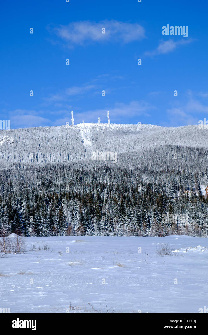 Harghita Mountain innevata con foresta di pini e antenne Foto Stock