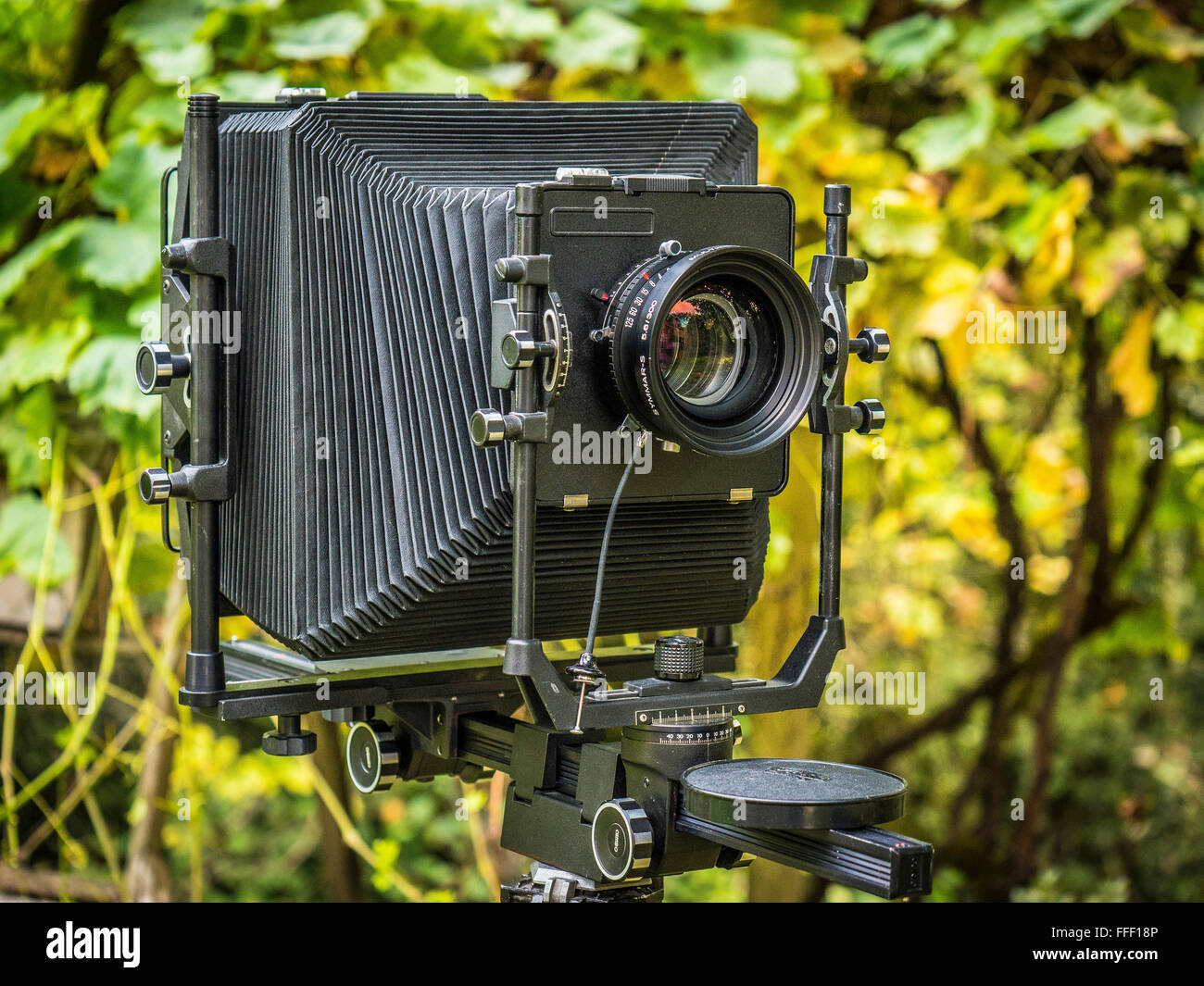 Un grande formato visualizza fotocamera contro una natura verde sullo sfondo Foto Stock
