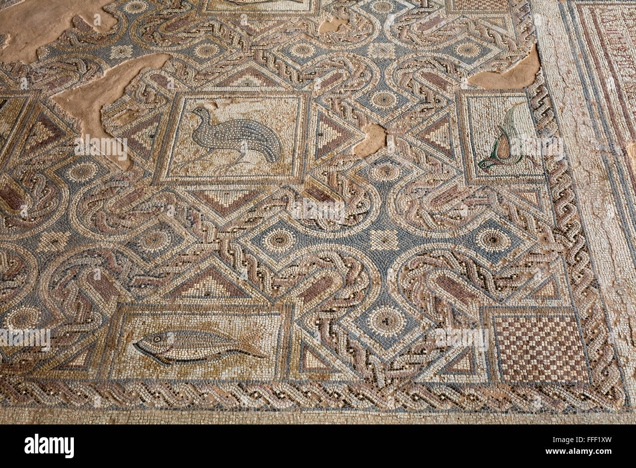 Mosaici in casa di Eustolios (IV secolo), antica città greca Kourion, vicino a Limassol, Cipro Foto Stock