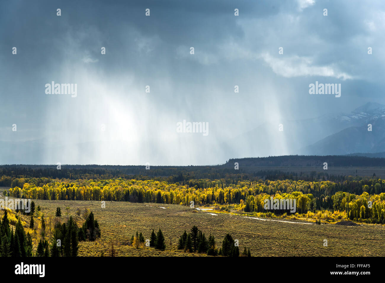 Vista panoramica del Grand Teton National Park Foto Stock