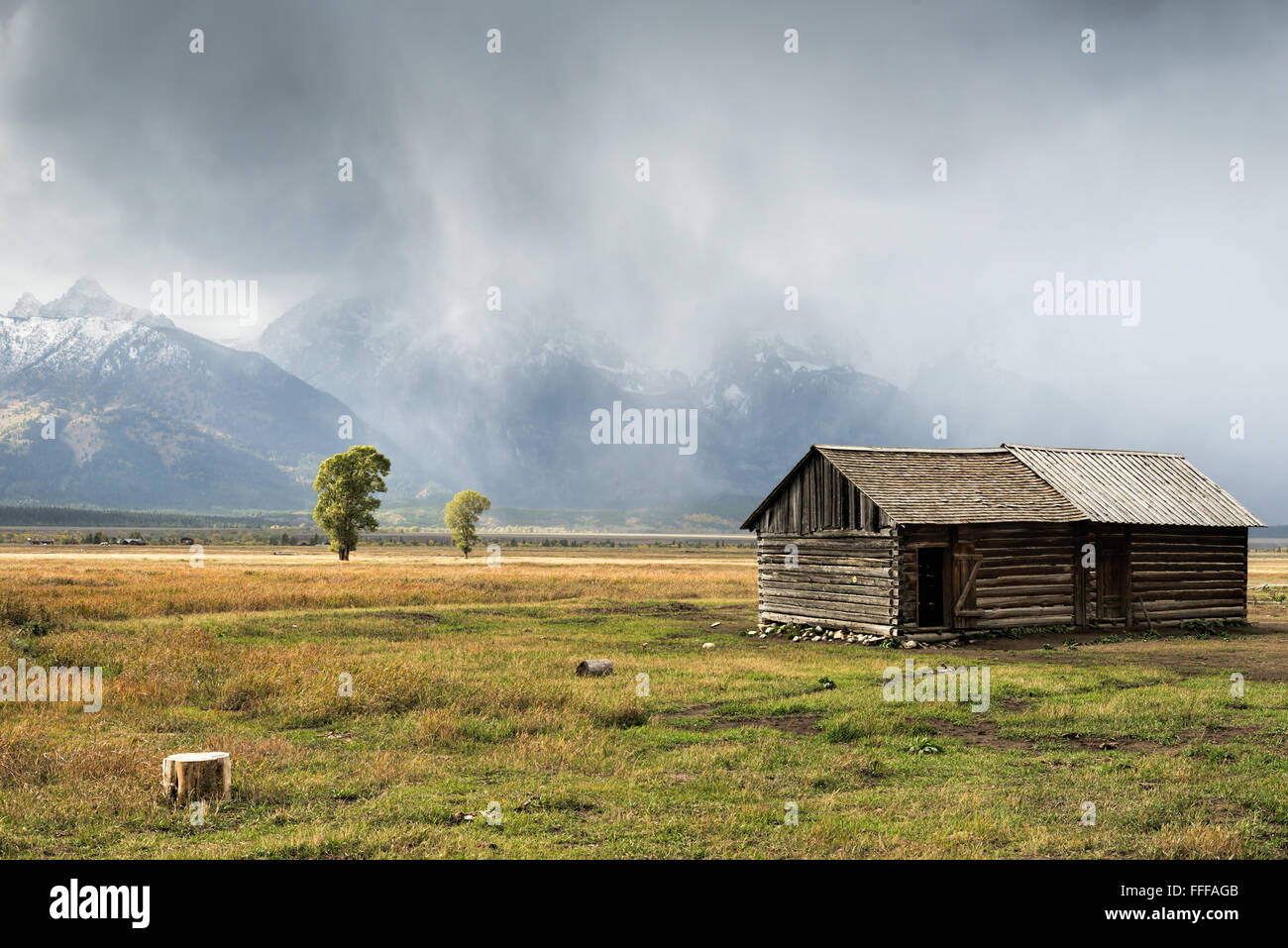 Riga Mormone Foto Stock
