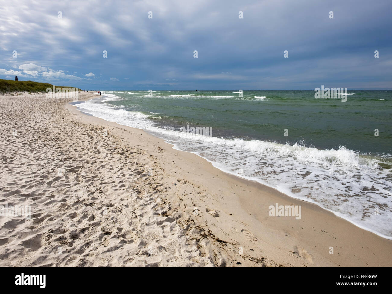 Spiaggia, Mar Baltico, Darßer Ort vicino Prerow, Darß, Fischland-Darß-Zingst, Western Pomerania Area Laguna Parco Nazionale Foto Stock