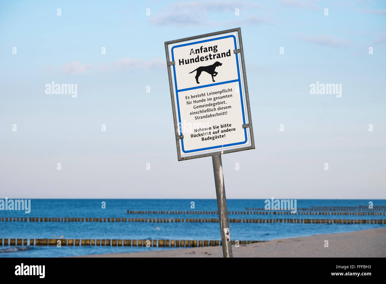 Segno, Dog Beach, spiaggia di Prerow, Mar Baltico, Darß, Fischland-Darß-Zingst, Meclenburgo-Pomerania Occidentale, Germania Foto Stock