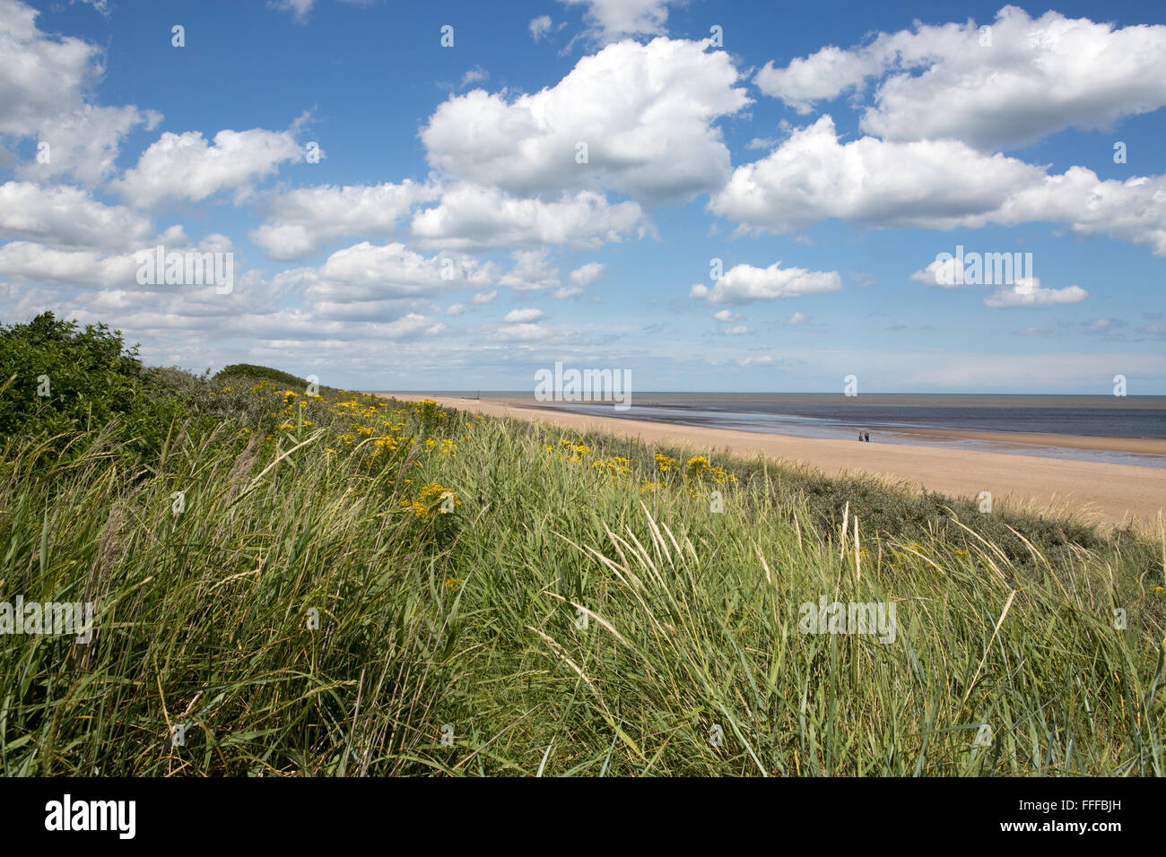 Giovane camminando la distanza su di una splendida giornata estiva con nuvoloso cielo blu a Mablethorpe Beach, Lincolnshire, England, Regno Unito Foto Stock