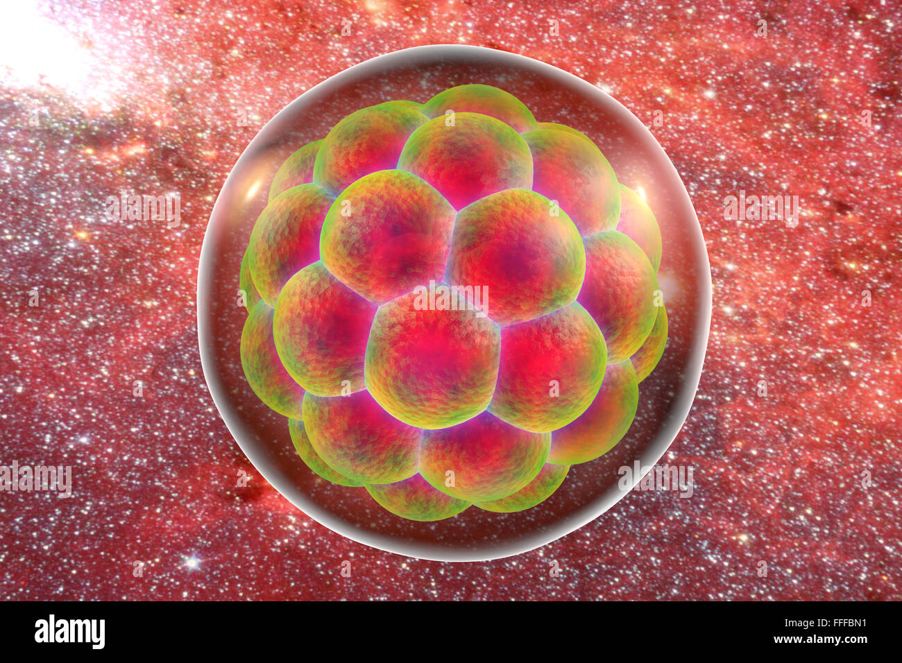 Illustrazione di un essere umano multi-embrione cellulare su un sfondo di spazio. Foto Stock