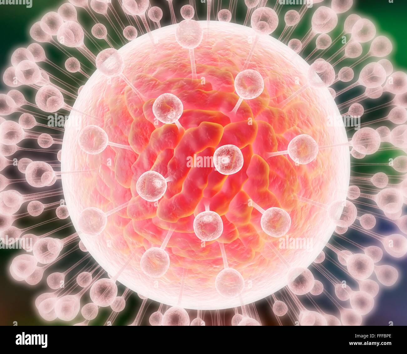 Zika virus. Computer illustrazione che mostra i picchi di proteina di involucro virale esterno. Questo è un RNA (acido ribonucleico) Foto Stock