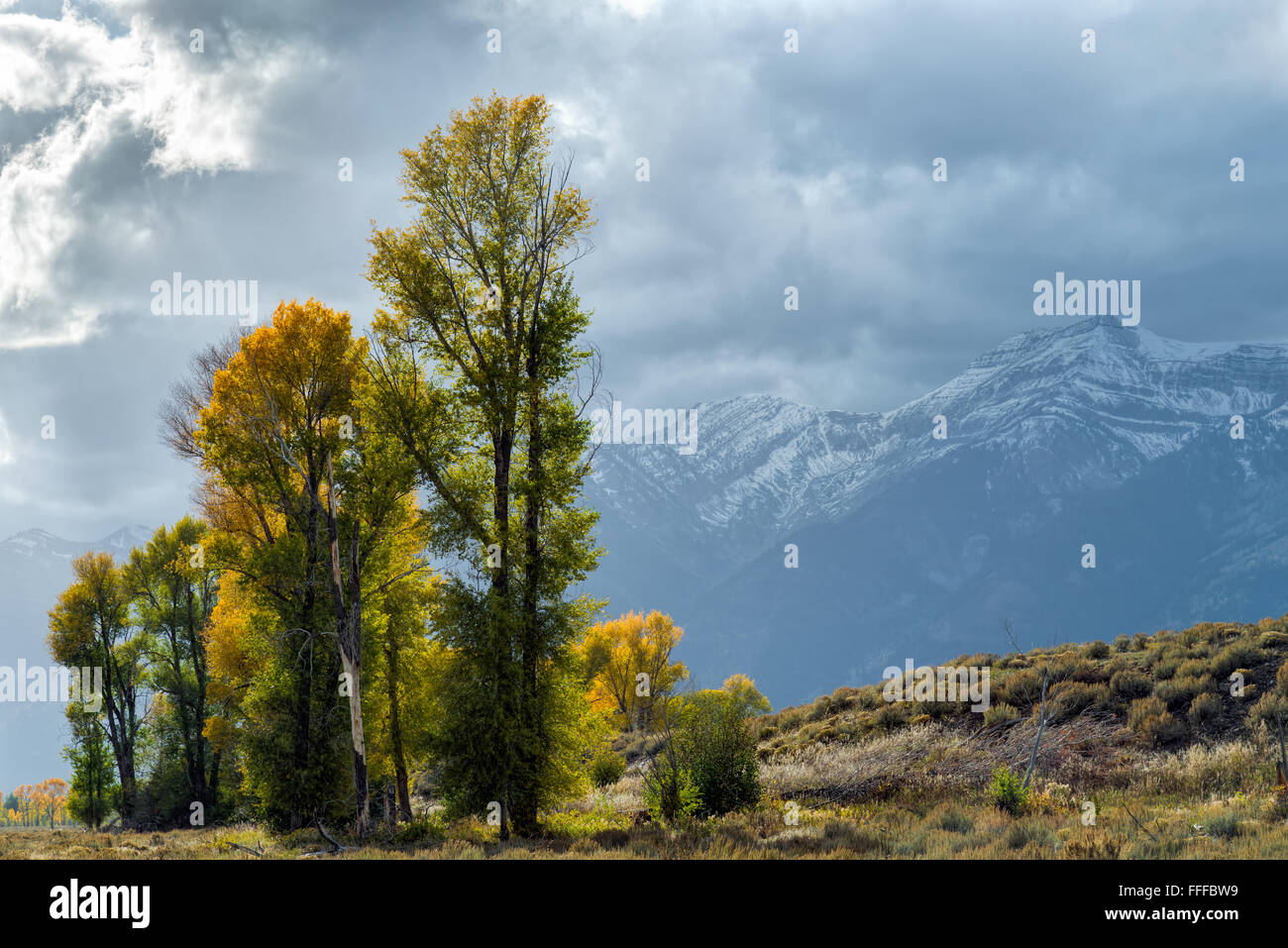 Gros Ventre River Valley Foto Stock