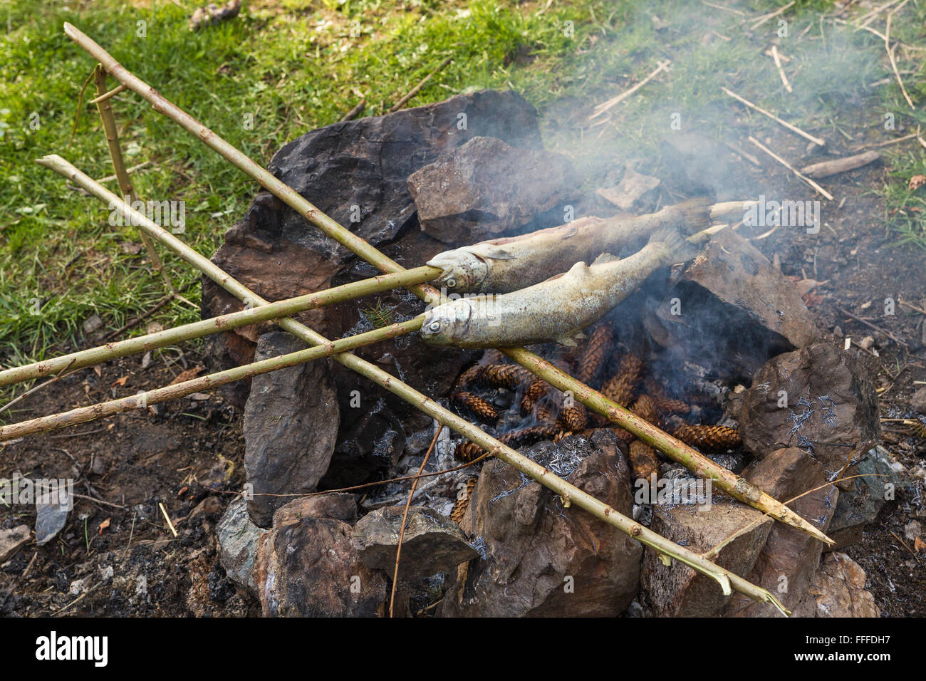 Marinata trota alla griglia su fuoco di pino. Immagine presa all'aperto in primavera. Foto Stock