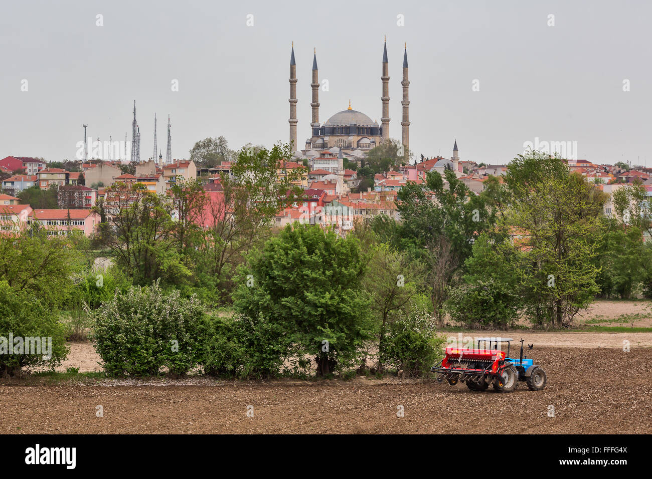 Campo di fattoria e moschea Selimiye, Edirne, Edirne Provincia, Turchia Foto Stock
