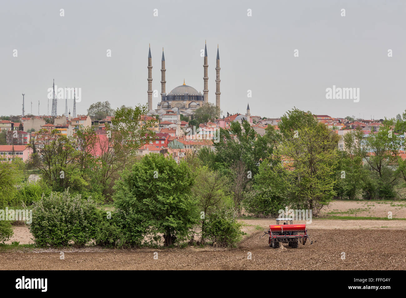 Campo di fattoria e moschea Selimiye, Edirne, Edirne Provincia, Turchia Foto Stock