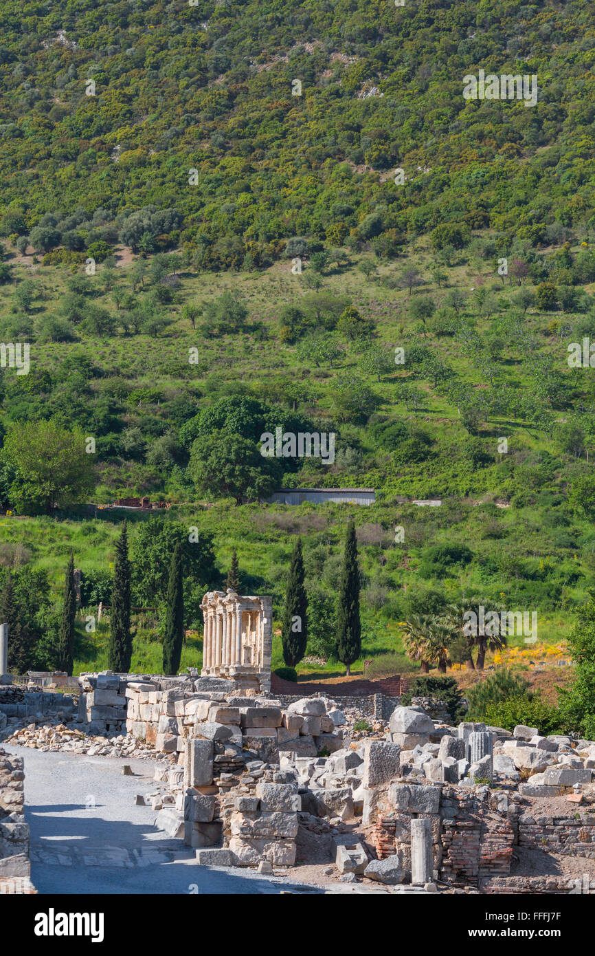 Rovine di antiche Efeso, Selcuk, provincia di Izmir, Turchia Foto Stock