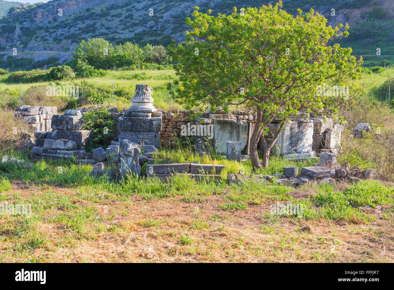 Efeso, Selcuk, provincia di Izmir, Turchia Foto Stock