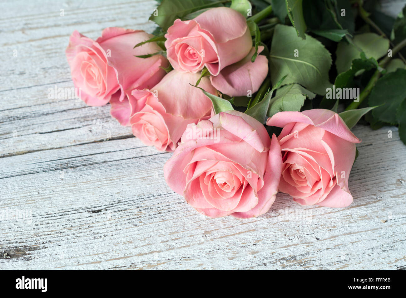 Sfondo Vintage / Cartoline / biglietto di auguri. Le rose rosa su bianco texture di sfondo di legno. Close up Foto Stock