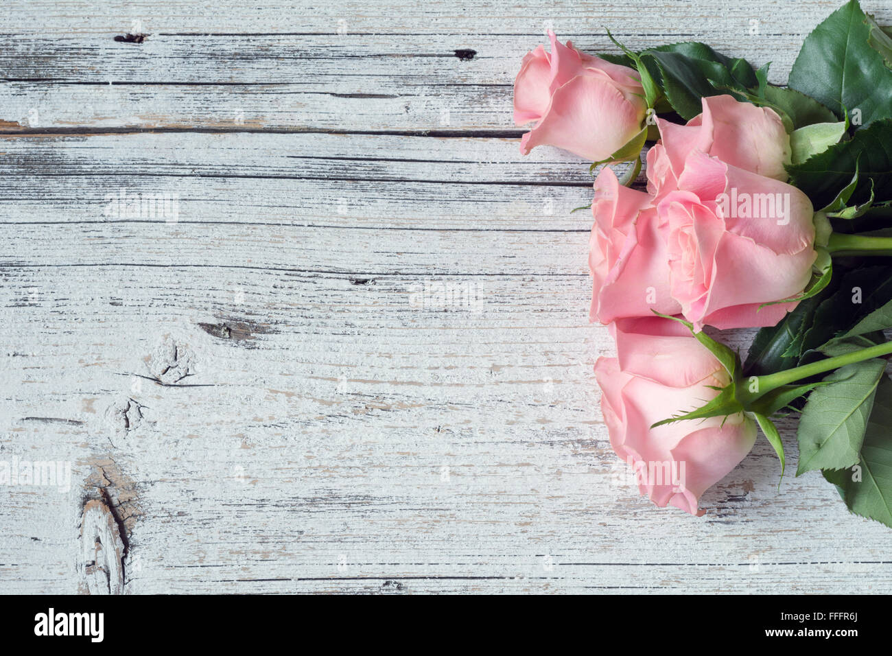 Sfondo Vintage / Cartoline / biglietto di auguri. Le rose rosa su bianco texture di sfondo di legno. Copia spazio, vista dall'alto Foto Stock