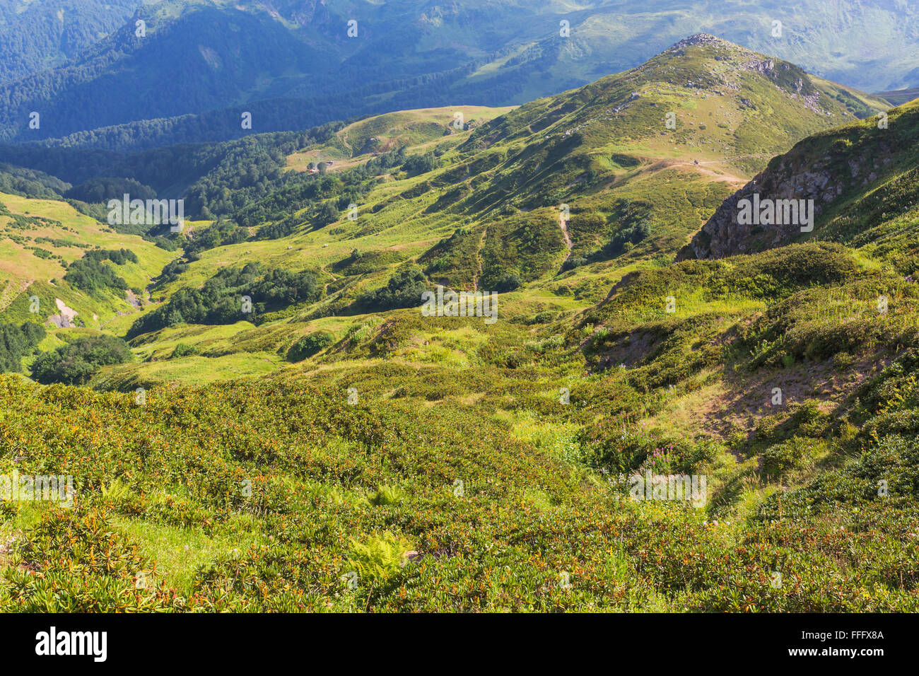 Valle dei sette laghi, montagne del Caucaso, Abkhazia, Georgia Foto Stock