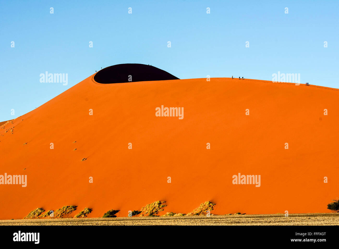 Daddy grande duna di sabbia in Sossusviel Foto Stock