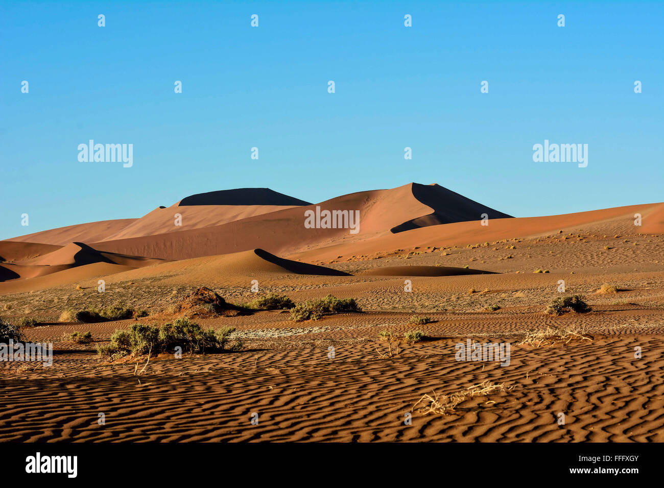 Il paesaggio del deserto del Namib Desert in Namibia Foto Stock