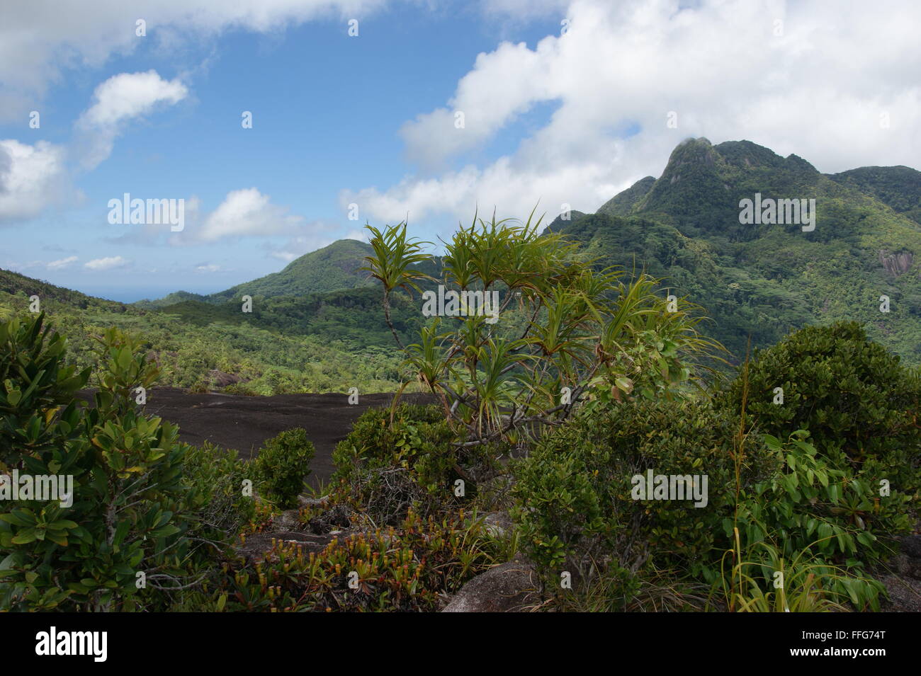 Morne Seychellois National Park, Mountain Copolia Foto Stock