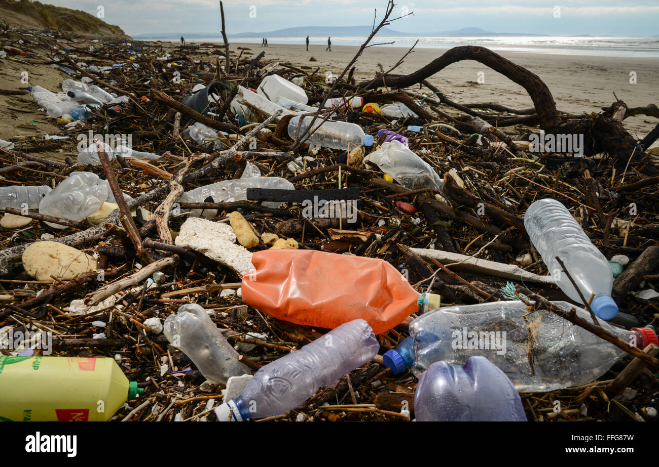 Galles del Sud, Regno Unito. Xiii Febbraio, 2016. Il risultato di recenti gale force venti e maree alte lasciano una scia di inquinamento, compresa la plastica, lavato fino a Pembrey Sands (Cefn Sidan), Pembrey Country Park, vicino a Llanelli, Carmarthenshire, Wales, Regno Unito. Tra i detriti sono Soft-Shell vongole o sabbia Gapers (Mya arenaria) da Carmarthen Bay, anche elica dall'alta marea. © Algis Motuza/Alamy Live News Credito: Algis Motuza/Alamy Live News Foto Stock