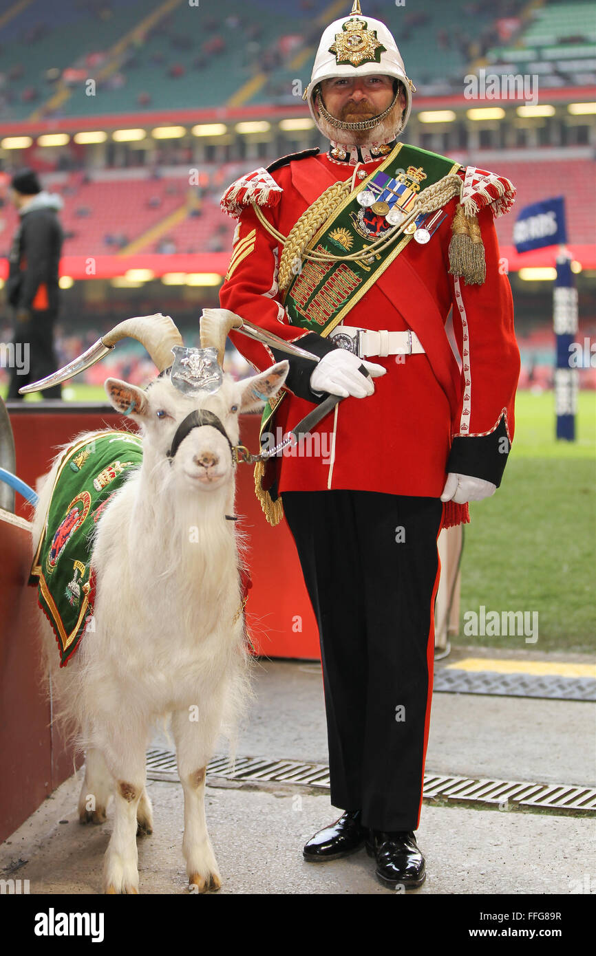 Principato Stadium di Cardiff, Galles. Xiii Febbraio, 2016. RBS 6 Nazioni campionati. Il Galles contro Scozia. La mascotte di capra del terzo Royal Welsh reggimento che sostengono la sua squadra nazionale. Credito: Azione Sport Plus/Alamy Live News Foto Stock