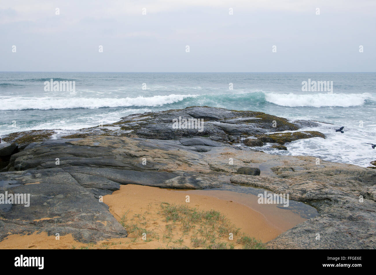 Sponde rocciose dell'Oceano Indiano, Hikkaduwa, Sri Lanka, Sud Asia Foto Stock