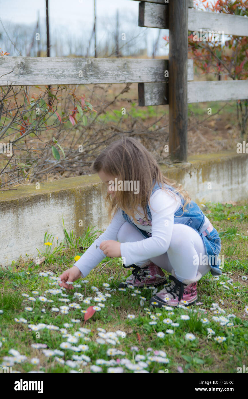 Bambino raccoglie margherite in un parco giochi all'aperto Foto Stock