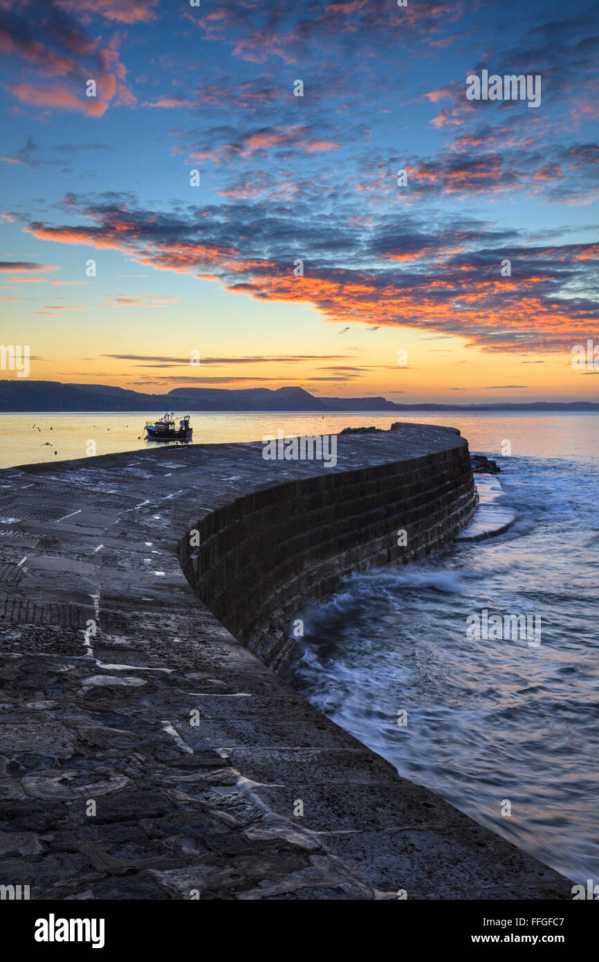 Il Cobb a Lyme Regis sulla costa Sud di Dorset, acquisite a sunrise in settembre. Foto Stock