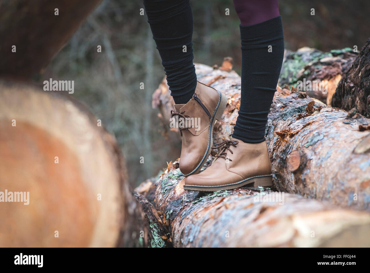 Womens pelle scarpe casual su legno nella foresta. Foto Stock