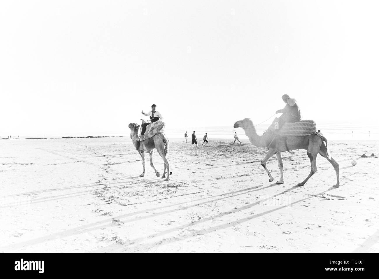 Arty foto di cammelli sulla spiaggia Tamraght, Marocco, Africa Foto Stock