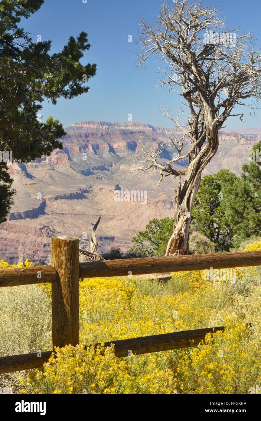 Vista del deserto, il Parco Nazionale del Grand Canyon, Arizona Foto Stock
