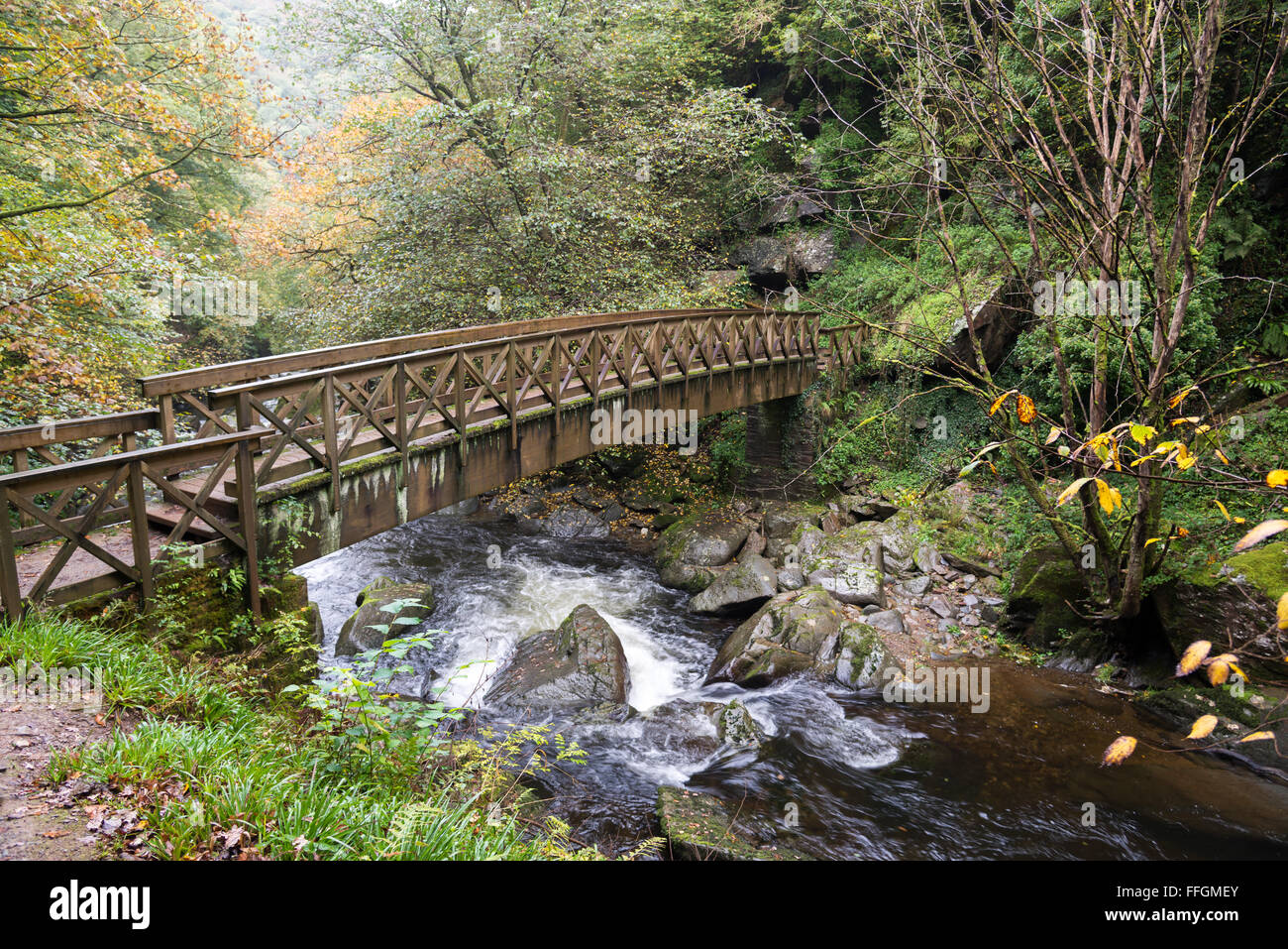 Ponte su Est Lyn fiume vicino a Lynmouth in Devon Foto Stock
