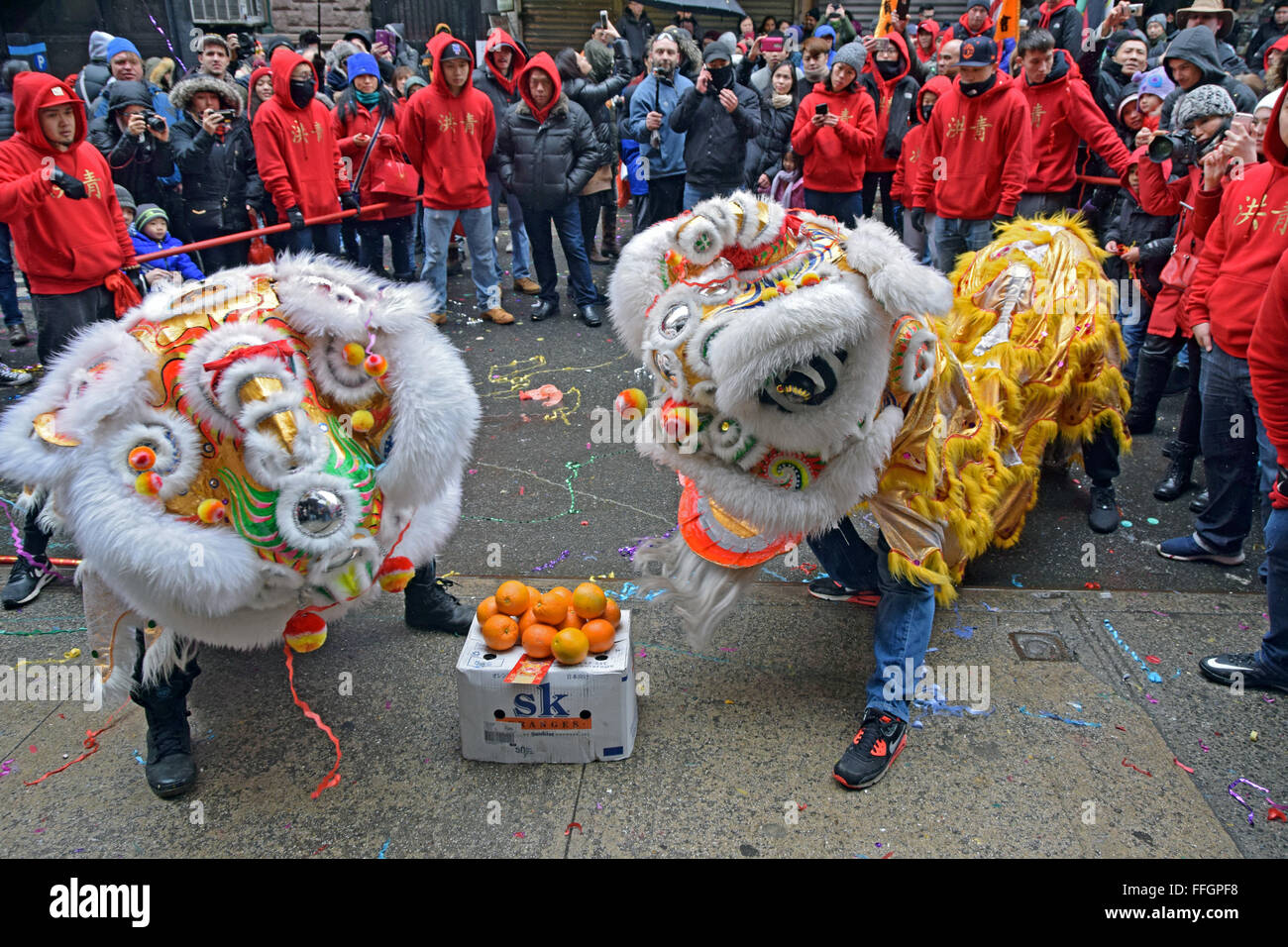 I ballerini leoni ballano per la prosperità su Doyers Street a NYC Chinatown alla sfilata lunare di Capodanno del 2016. Foto Stock