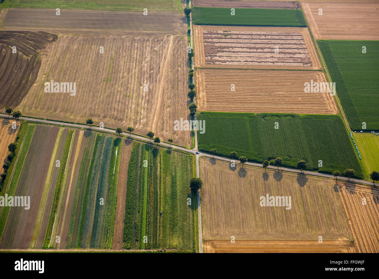 Vista aerea, crociera le strade di campagna, campi, vicoli, retroilluminato, ereditarietà, la rotazione delle colture, Welver, Soester Plain, Foto Stock