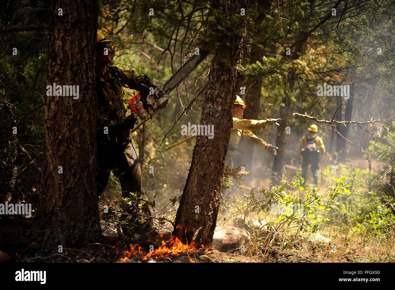 Brad Mabery, vigile del fuoco della Vandenberg AFB, lavora per sgombrare una linea di fuoco usando una motosega mentre assiste con gli sforzi di contenimento degli incendi durante l'incendio del Waldo Canyon a Colorado Springs, Colorado, nel 2012. Foto Stock