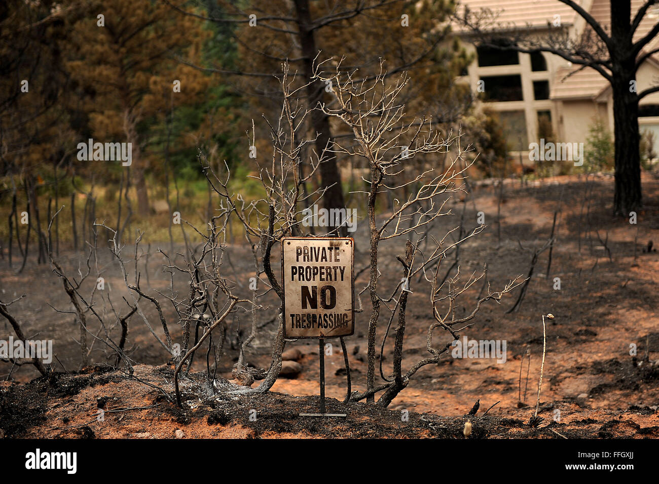 Bruciava il suo modo per le backdoor di case nel Mount Saint Francois area di Colorado Springs, Colo. altri quartieri della zona non sono stati così fortunati. Foto Stock