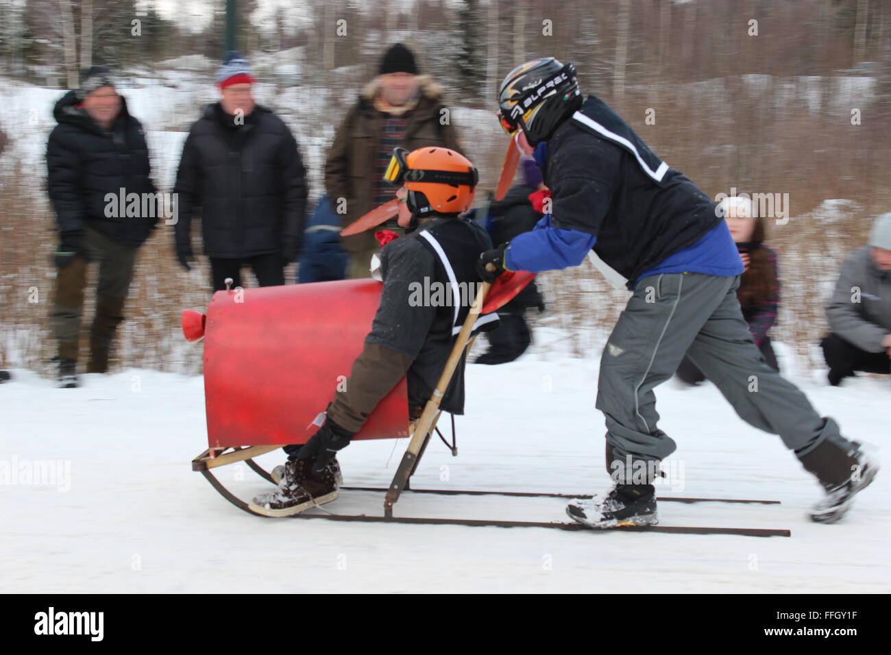 Hurdal, Norvegia. Xiv Febbraio 2016. I concorrenti e il pubblico al kicksled il campionato mondiale di Hurdal con tipici costumi norvegesi. Silje Ekern/Alamy Live News Foto Stock