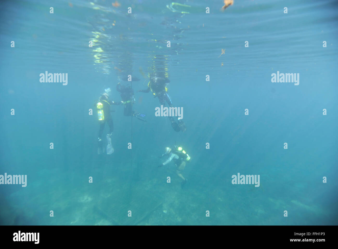 Combattenti feriti partecipare in una scuba diving di classe al Lago di primavera a San Marcos, Texas. Il Centro per la Intrepid fornisce riabilitazione per Operazione Iraqi Freedom e l Operazione Enduring Freedom vittime che hanno subito l'amputazione, bruciature o funzionale la perdita degli arti e fornisce educazione a DoD e Dipartimento di veterani del professionisti affari sul bordo di taglio modalità di riabilitazione e di promuovere la ricerca nel campo dell'ortopedia, protesi, fisica e riabilitazione professionale. Foto Stock