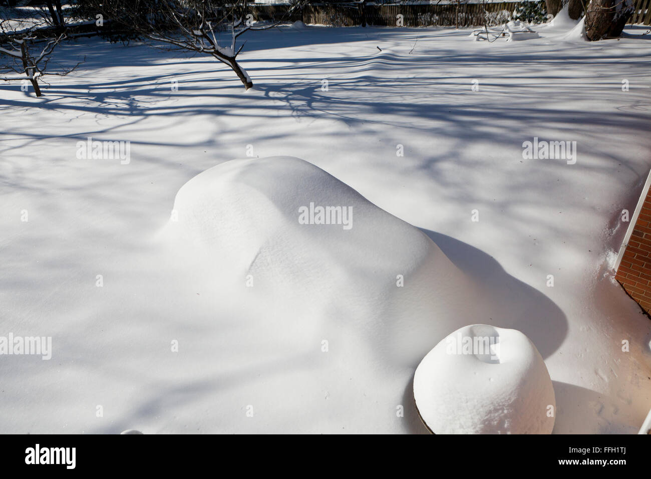 Auto sotto la neve profonda - Virginia STATI UNITI D'AMERICA Foto Stock