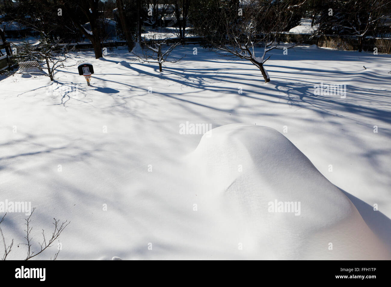 Auto sotto la neve profonda - Virginia STATI UNITI D'AMERICA Foto Stock