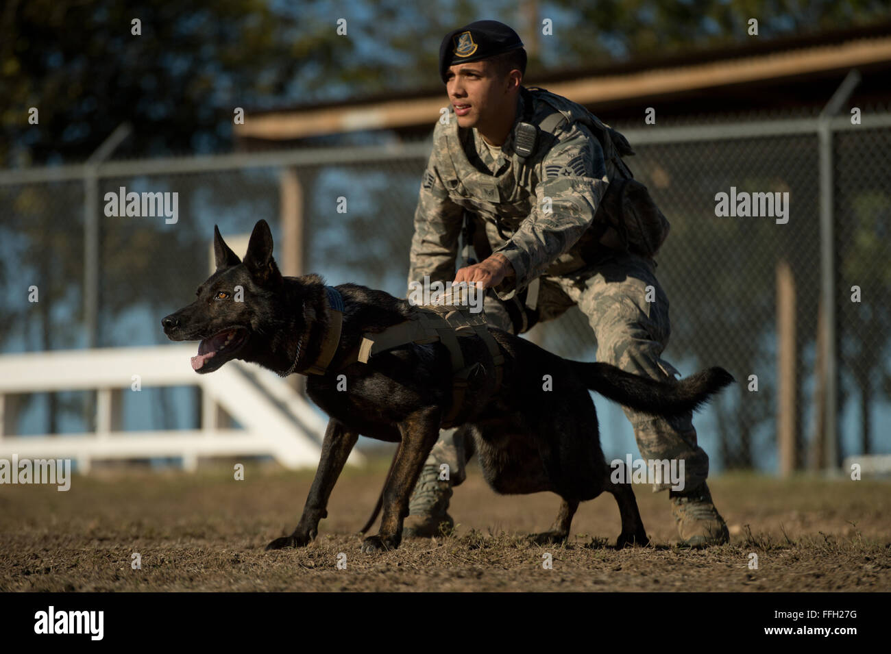 Il personale Sgt. Mark Devine, un militare di cane da lavoro dal gestore del 802nd delle forze di sicurezza Squadron, si appresta a rilasciare JJany durante un aggressione controllato esercizio a base comune San Antonio-Lackland. Devine e militari di cane da lavoro gestori di eventi assegnati a JBSA-Lackland soddisfano ogni giorno particolari requisiti legali o il treno per rimanere mission-pronto. Foto Stock Il personale Sgt. Mark Devine, un militare di cane da lavoro dal gestore del 802nd delle forze di sicurezza Squadron, si appresta a rilasciare JJany durante un aggressione controllato esercizio a base comune San Antonio-Lackland. Devine e militari di cane da lavoro gestori di eventi assegnati a JBSA-Lackland soddisfano ogni giorno particolari requisiti legali o il treno per rimanere mission-pronto. Foto Stock