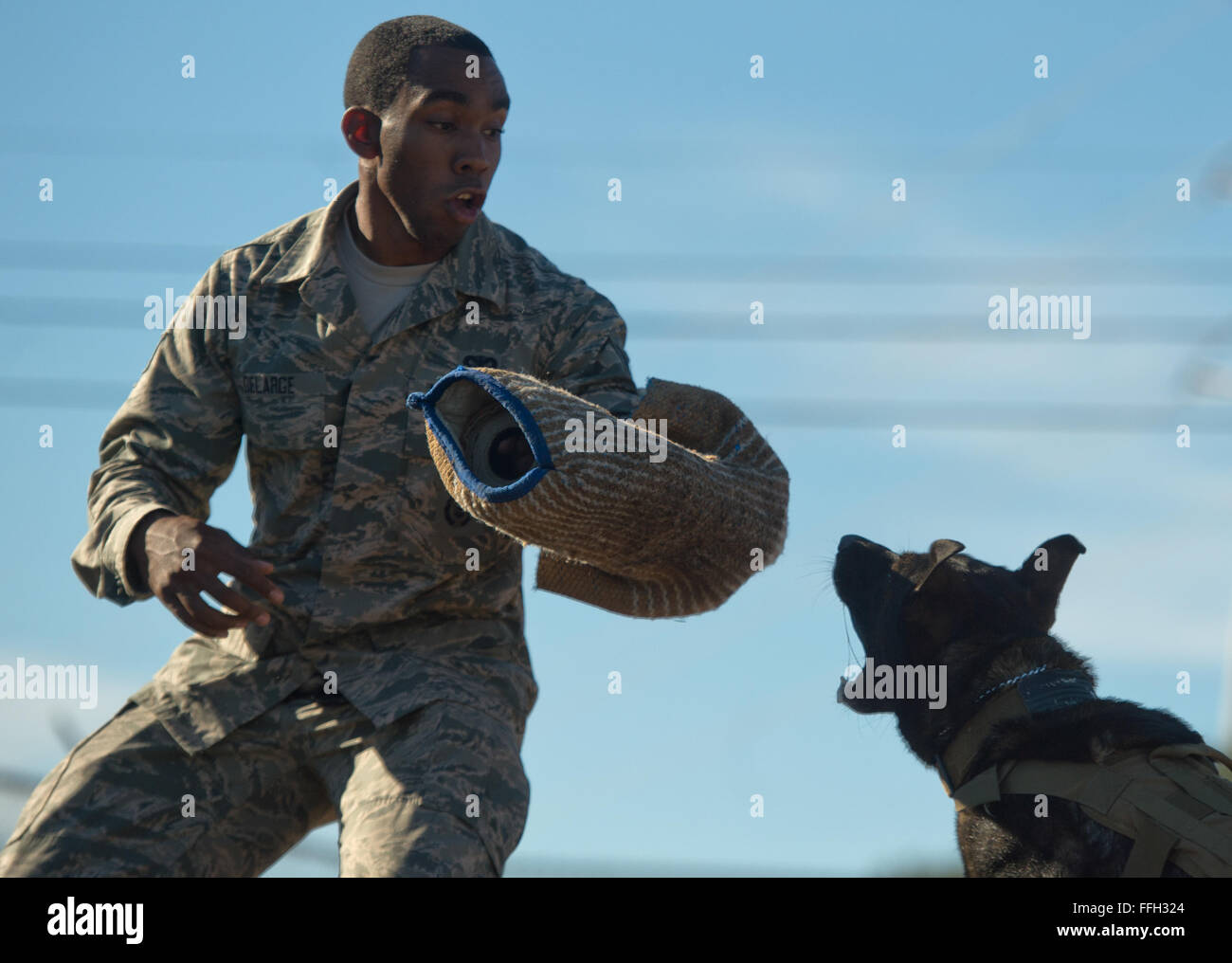 Il personale Sgt. Sharif DeLarge, un militare di cane da lavoro dal gestore del 802nd delle forze di sicurezza Squadron, bretelle per un impatto durante un aggressione controllato esercizio con JJany a base comune San Antonio-Lackland. Devine e militari di cane da lavoro gestori di eventi assegnati a JBSA-Lackland soddisfano ogni giorno particolari requisiti legali o il treno per rimanere mission-pronto. Foto Stock Il personale Sgt. Sharif DeLarge, un militare di cane da lavoro dal gestore del 802nd delle forze di sicurezza Squadron, bretelle per un impatto durante un aggressione controllato esercizio con JJany a base comune San Antonio-Lackland. Devine e militari di cane da lavoro gestori di eventi assegnati a JBSA-Lackland soddisfano ogni giorno particolari requisiti legali o il treno per rimanere mission-pronto. Foto Stock